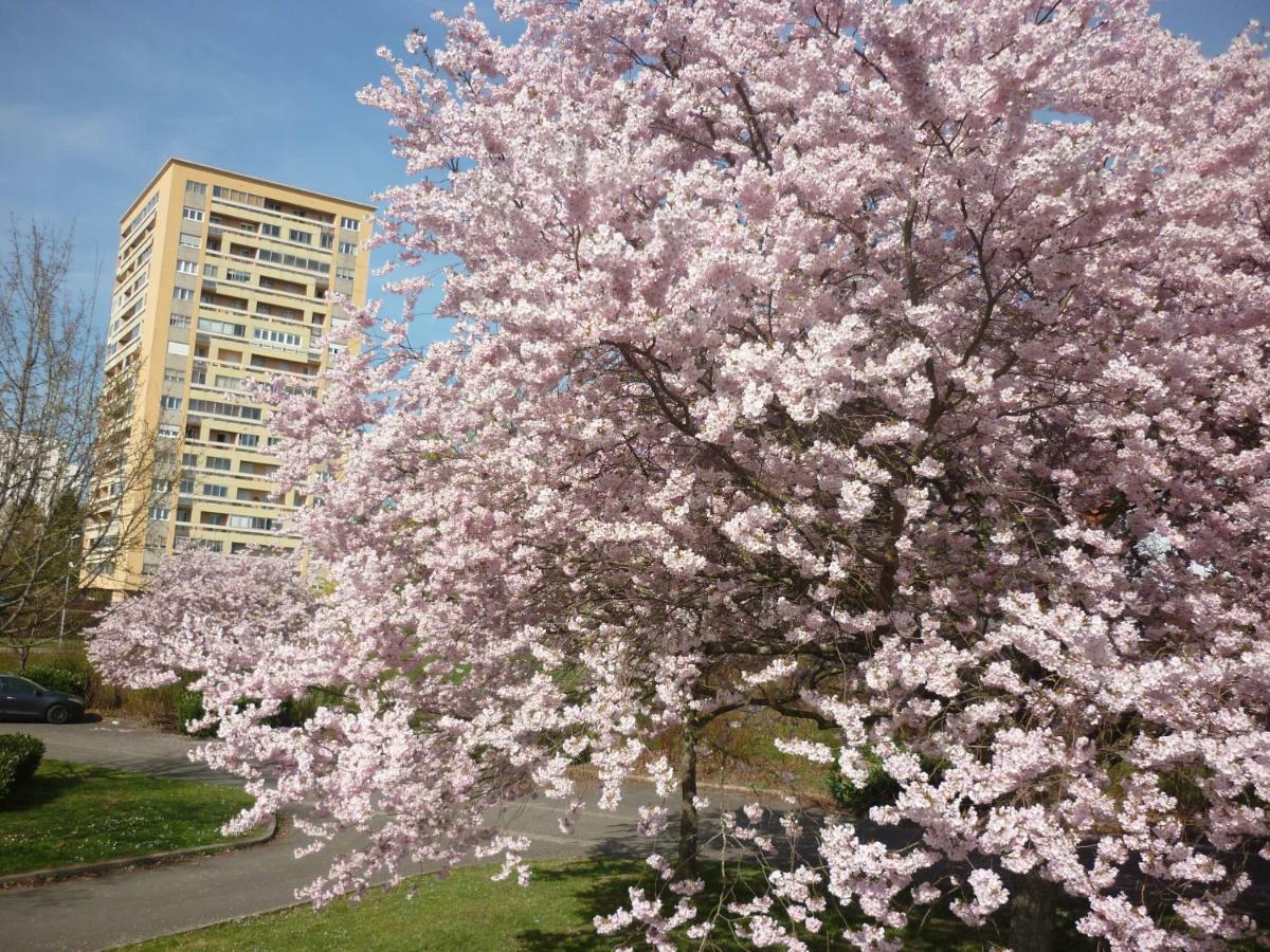 L'Oree Du Parc A Belfort Exterior foto